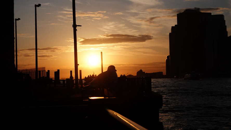 NYC_2024-02-09 17-04-26_RX_08477
